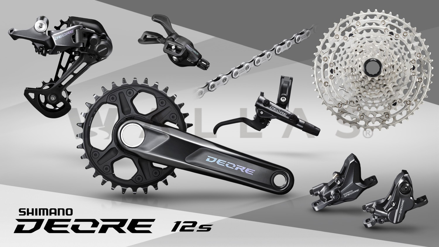 Grupo Shimano Deore M6100 1x12 32